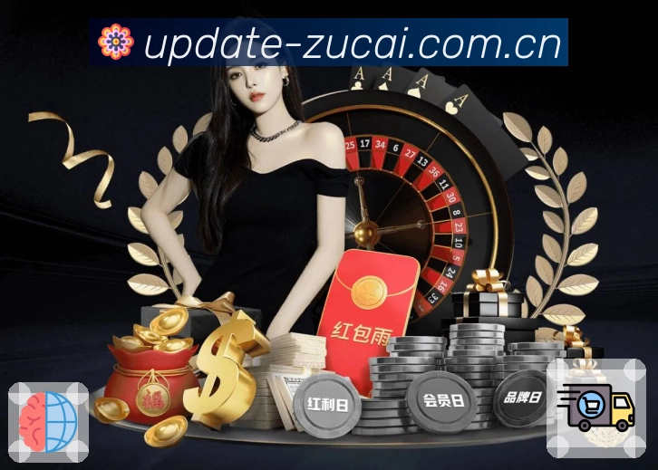 比分分析
